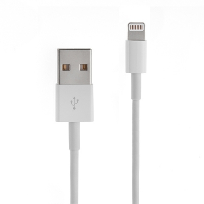 iPad kabel Lightning 20 cm